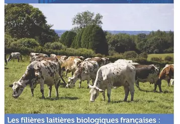 Les filières laitières biologiques françaises : La 3e vague de conversion, un changement d’échelle © Idele