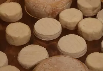 L'AOP chevrotin, fromage exclusivement fermier, affiche une belle progression de 16 % sur l'année écoulée. © B. Morel