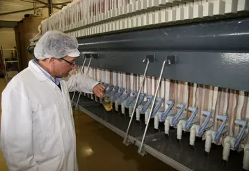 Aux Laboratoires Abia, à Meursault, en Côte-d’Or, il faut un mois pour transformer la caillettedes chevreaux, agneaux ou veaux en présure utilisable par les fromagers. © D. Hardy