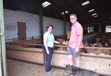 Depuis 2017, Michel Irume et sa femme, Fabienne, ont troqué les brebis pour des chèvres. Un changement qui a nécessité au final peu d'aménagements du bâtiment.