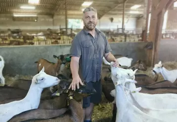 Pour Benoît Denis et son associé Olivier, les lactations longues font partie des solutions mises en œuvre pour augmenter la production avec le même nombre de chèvres.