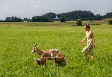 Alida et Edward ont quitté les Pays Bas en 1997 pour voyager, ils élèvent aujourd'hui 90 chèvres au Danemark.
