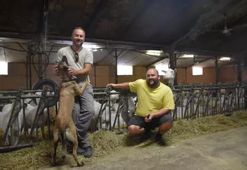 Jérôme et Dimitri Bouju élèvent près de 400 chèvres dans le marais poitevin, à Marans sur l'exploitation créée il y a cinq générations.