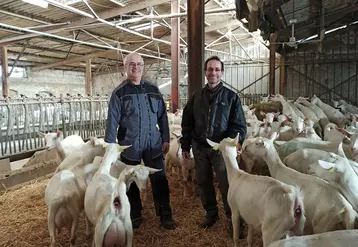 Le choix de conduite en lactation longue fait par Xavier et Didier Gois a permis d'augmenter la production laitière et d'améliorer l'élevage des chevreaux.