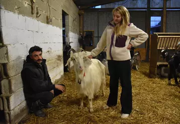 À la ferme Bacotte, dans les Landes, Clément Baillet et Marie Fischer élèvent 150 chèvres pyrénéennes et 30 brebis Manech tête noire exclusivement sur parcours et ...