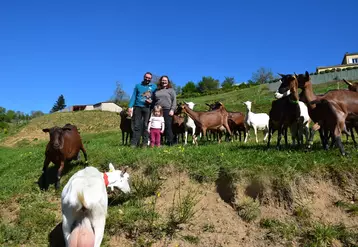 Chèvres Alines et Saanen au pâturage