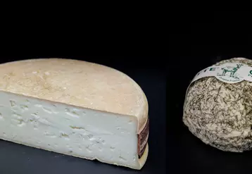 Deux fromages de chèvre : Le Moelleux de chèvre et la Taupinette à l’aneth