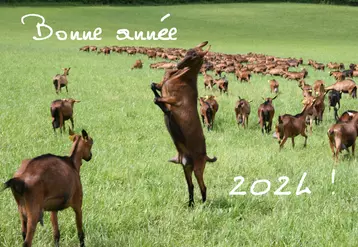 Troupeau de chèvres alpines au pâturage et inscription "Bonne année"