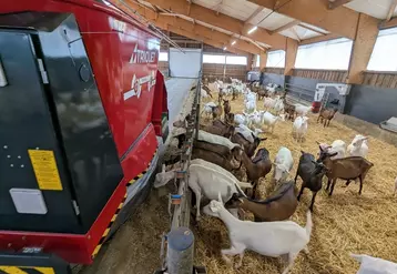 Les robots d'alimentation permettent d'automatiser la distribution des fourrages et des concentrés au troupeau.