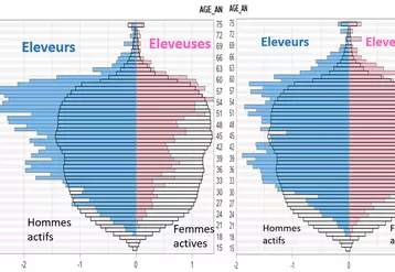 Pyramides des âges des éleveurs caprins laitiers (à droite) et fromagers fermiers (à gauche) vs population active française à l'emploi