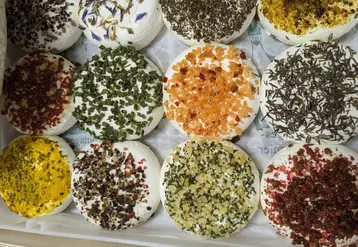 Fromages de chèvre aromatisés