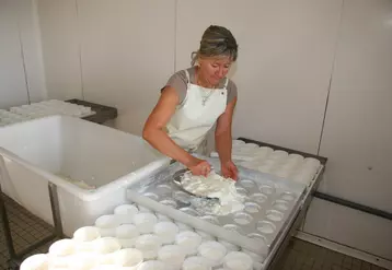 Moulage de fromages fermiers avec un multimoule
