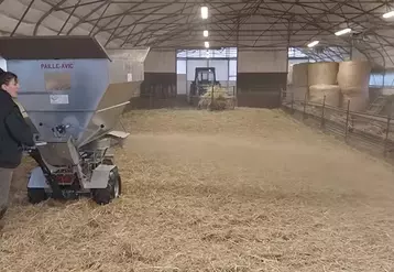 Paillage d'un bâtiment caprin avec une pailleuse à moteur