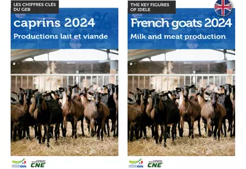 Les chiffres-clés caprins du GEB en français et en anglais
