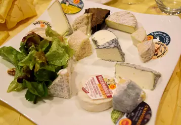 Assiette contenant les fromages de chèvre AOP