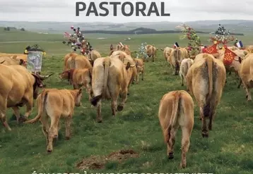 Un abécédaire pastoral