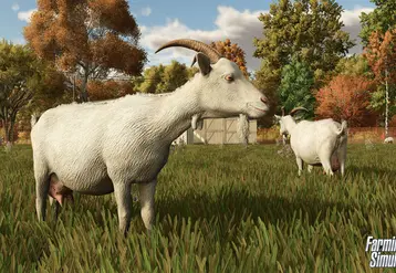 <em class="placeholder">Copie d&#039;écran du jeu Farming Simulator avec des chèvres</em>