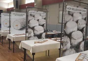 Tables de dégustation au concours de fromages de Selles-sur-Cher