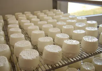 <em class="placeholder">Fromages de chèvre sur grille</em>