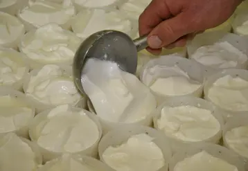 Moulage de fromage lactique