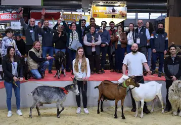 Les élevages caprins récompensés par le prix du trophée Gènes avenir au Salon de l'agriculture 2025