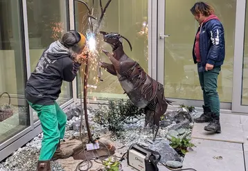 Installation de la chèvre Chevrolette à la MNE