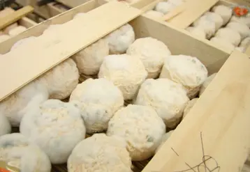 <em class="placeholder">Fromages de chèvre en caisse</em>