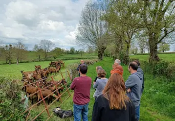 Des éleveurs caprins échangent dans une prairie.