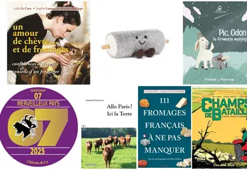 Divers livres et jouets sur le thème des chèvres