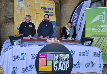 <em class="placeholder">Signature du Cap Filière caprin</em>