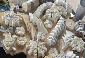 La tentative de record du plus grand plateau de fromages de chèvre se veut une vitrine de la diversité de la filière caprine.