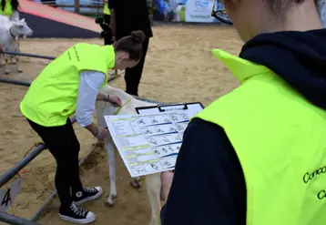 Concours de jugement des animaux 2026