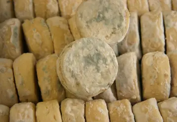 Fromage Rigotte de Condrieu AOP