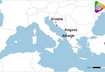 Carte avec foyers de PPR en Europe (épizootiques)et Turquie (enzootiques) depuis juillet 2025.