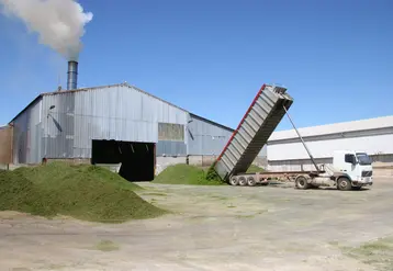 Usine de déshydratation de la luzerne