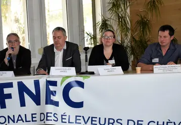 Table ronde sur les fromages au lait cru lors de l'AG de la Fnec 2026