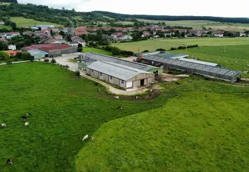 Ferme bovine laitière vue d'avion