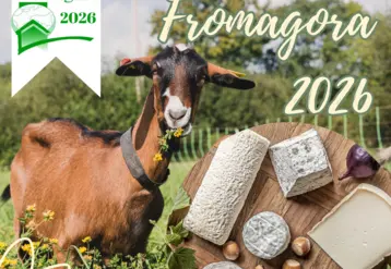 Affiche Fromagora