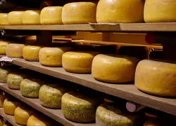 À la découverte du roi des fromages norvégiens, le Geitost