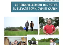 Le livre blanc sur le renouvellement des actifs en élevage bovin, ovin et caprin publié par la Confédération nationale de l’élevage met en avant 27 propositions pour ...