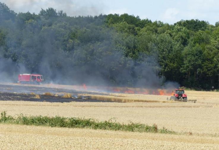 Plusieurs incendies ont touché des parcelles de l’Orne et du Calvados au début du mois.