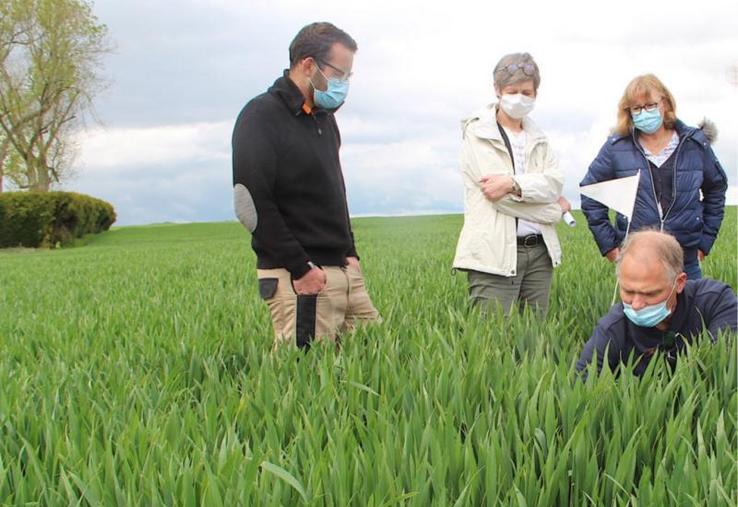 Jérémy Delaunay (agriculteur), Stéphanie Raux-Brout (directrice
de la CA), Anne-Laure Marteau (secrétaire de la CA 27) et Christophe Saingier (conseiller végétal).