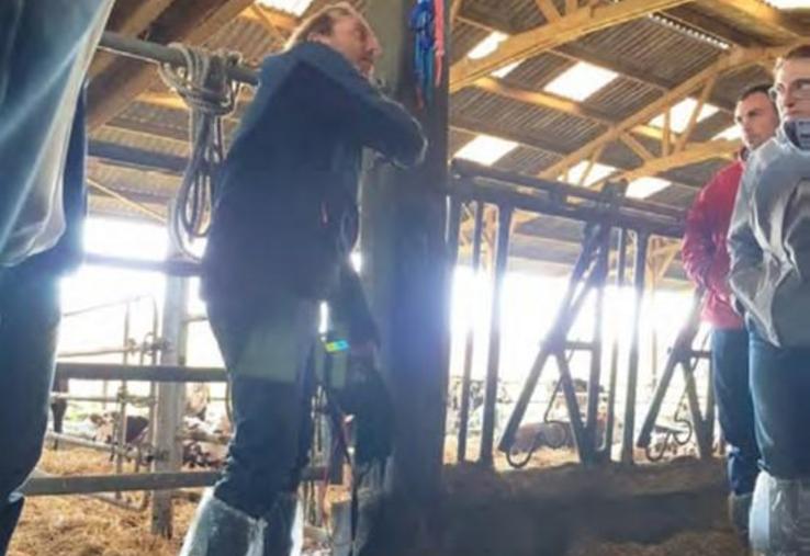 Yoann Durand, électro-géobiologue, en plein travail de recherche de fuites de courants chez le Gaec du Barbois à Sallen.