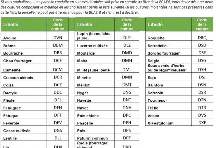 En cas d’implantation d’un sous-semis d’herbe ou de légumineuses en culture dérobée, une seule culture doit être déclarée, il n’y a
pas de deuxième culture déclarée.