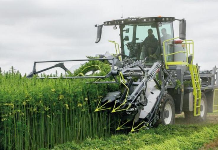 Une machine a été développée spécialement pour le fauchage.