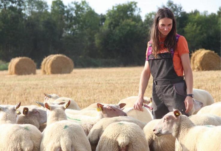 Contre toute attente, la troupe de Marion ne semble pas stressée par cette attaque. L’éleveuse un peu plus.