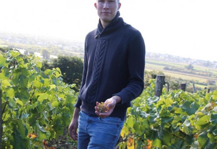 D'ici quelques semaines, François Lecourt devra attaquer la taille des pieds de vigne : « les vendanges ne sont pas la si grosse étape. Le gros du travail, c'est toute l'année ».