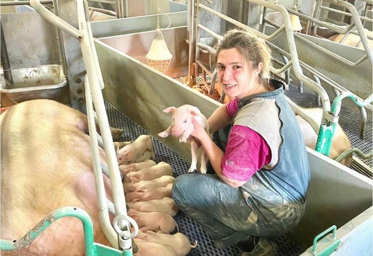 Dans quelles conditions
travaillent les salariés agricoles pendant l’épidémie
de covid-19 ?