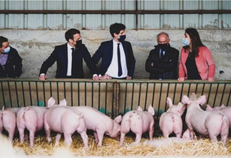 Marion Colson-Estalivet a accueilli la délégation présidentielle sur sa ferme.