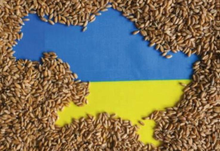 Un besoin de 10 à 15 % de semences en plus pour la prochaine campagne d’ensemencement.